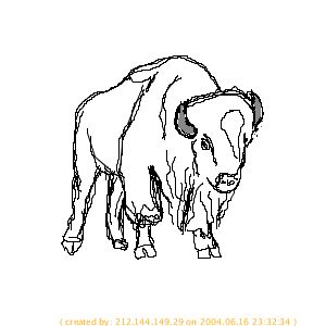 Tiere zeichnen